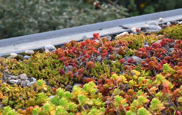 the cost of Fisherwick green roof installation
