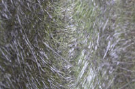 Fisherwick fibreglass roof work